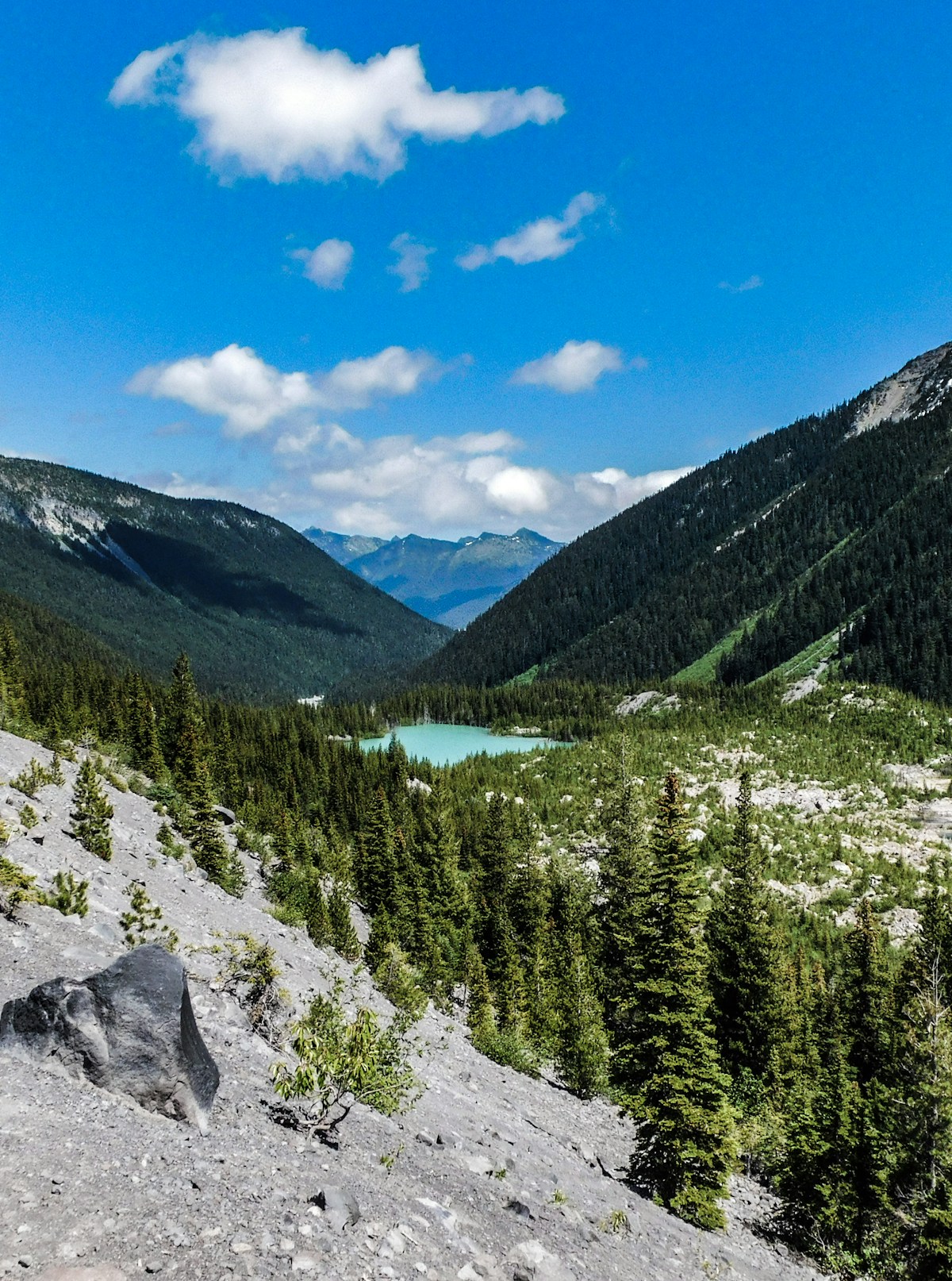 Associate Member Benefits