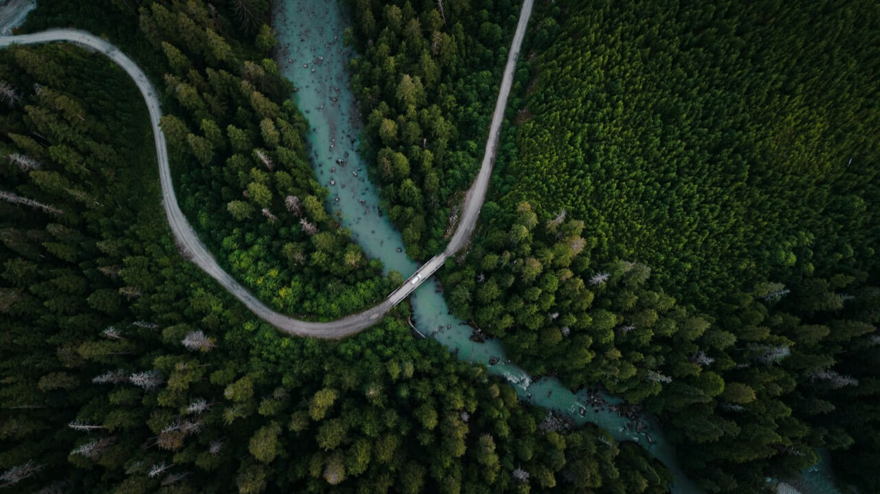 Forest road from above